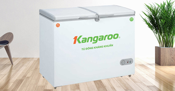 3 cách tiết kiệm điện và 2 cách sử dụng tủ đông đúng chuẩn, bền bỉ